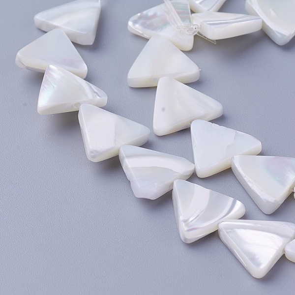 PandaHall Shell Beads Strands, Triangle, 11.5~12x12.6~13.2x2.5~2.8mm, Hole: 0.8mm, about 34pcs/strand, 15.82 inch(40.2cm) Other Sea Shell...
PandaHall Shell Beads Strands, Triangle, 11.5~12x12.6~13.2x2.5~2.8mm, Hole: 0.8mm, about 34pcs/strand, 15.82 inch(40.2cm) Other Sea Shell...