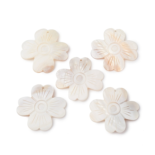 PandaHall Natural Freshwater Shell Big Pendants, Flower Charms, 56~58x56~58x9mm, Hole: 2mm Freshwater Shell Flower
PandaHall Natural Freshwater Shell Big Pendants, Flower Charms, 56~58x56~58x9mm, Hole: 2mm Freshwater Shell Flower
