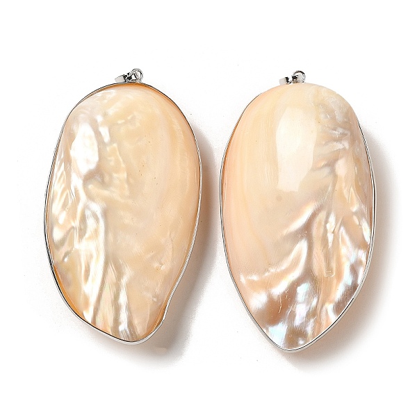 PandaHall Electroplate Natural White Shell Big Pendants, Platinum Plated Brass Nuggets Charms with Iron Snap on Bails, 71~74x40~46x19~25mm..., Orange
PandaHall Electroplate Natural White Shell Big Pendants, Platinum Plated Brass Nuggets Charms with Iron Snap on Bails, 71~74x40~46x19~25mm..., Orange