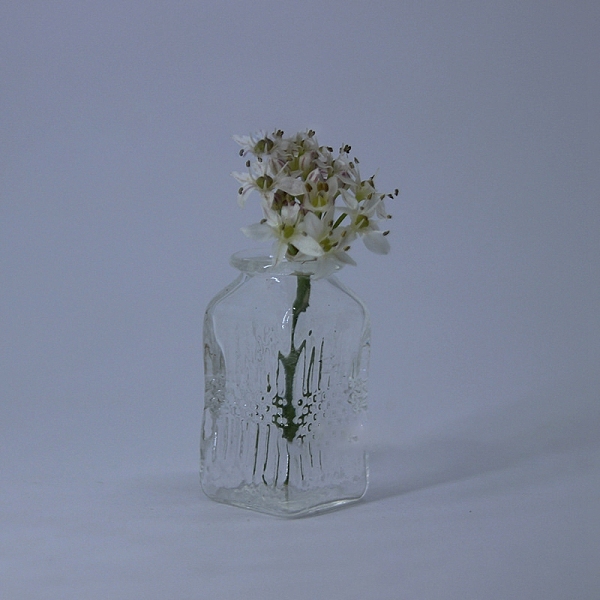 PandaHall High Borosilicate Glass Vase Miniature Ornaments, Micro Landscape Garden Dollhouse Accessories, Pretending Prop Decorations..., Clear
PandaHall High Borosilicate Glass Vase Miniature Ornaments, Micro Landscape Garden Dollhouse Accessories, Pretending Prop Decorations..., Clear