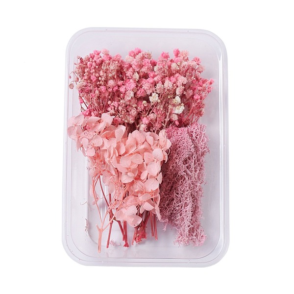 PandaHall Dried Flowers, DIY Candle Soap Making Accessories, with Plastic Rectangle Box, Pink, 7.3~14x2.1~8.2cm Dried Flower Pink
PandaHall Dried Flowers, DIY Candle Soap Making Accessories, with Plastic Rectangle Box, Pink, 7.3~14x2.1~8.2cm Dried Flower Pink