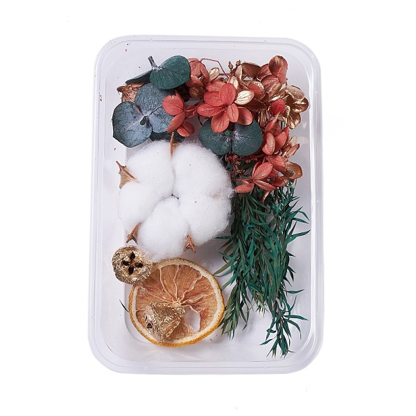 PandaHall Dried Flowers, DIY Candle Soap Making Accessories, with Plastic Rectangle Box, Mixed Color, 1.65~15.5x1.8~5.8cm Dried Flower..., Multicolor
PandaHall Dried Flowers, DIY Candle Soap Making Accessories, with Plastic Rectangle Box, Mixed Color, 1.65~15.5x1.8~5.8cm Dried Flower..., Multicolor