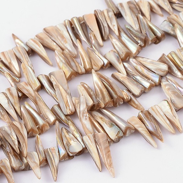 PandaHall Natural Shell Beads Strands, Erose, White, about 4~9mm wide, 13~35mm long, hole: about 0.5mm, 14 inch Black Lip Shell Others White
PandaHall Natural Shell Beads Strands, Erose, White, about 4~9mm wide, 13~35mm long, hole: about 0.5mm, 14 inch Black Lip Shell Others White