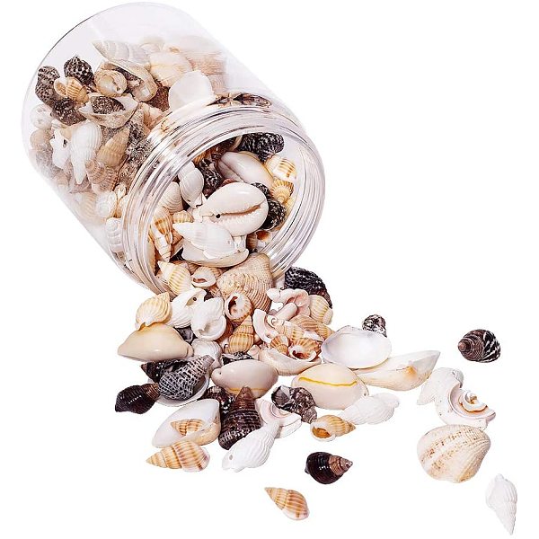 PandaHall Spiral Shell Pendants/Beads, with Hole and No Hole, Mixed Color, 80x72mm Spiral Shell Shell Shape Multicolor
PandaHall Spiral Shell Pendants/Beads, with Hole and No Hole, Mixed Color, 80x72mm Spiral Shell Shell Shape Multicolor