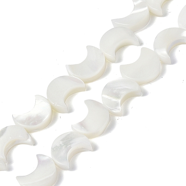 PandaHall Natural Trochid Shell/Trochus Shell Beads Strands, Crescent Moon, Bleached, White, 10x8x3mm, Hole: 0.8mm, about 39pcs/strand...
PandaHall Natural Trochid Shell/Trochus Shell Beads Strands, Crescent Moon, Bleached, White, 10x8x3mm, Hole: 0.8mm, about 39pcs/strand...