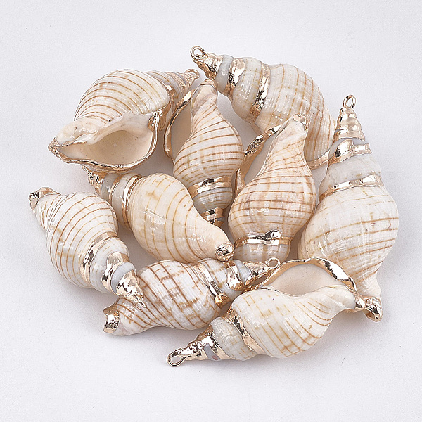 PandaHall Electroplate Spiral Shell Pendants, with Iron Findings, Golden, Seashell Color, 27~41x13~20x12~18mm, Hole: 1.5~1.8mm Spiral Shell...
PandaHall Electroplate Spiral Shell Pendants, with Iron Findings, Golden, Seashell Color, 27~41x13~20x12~18mm, Hole: 1.5~1.8mm Spiral Shell...