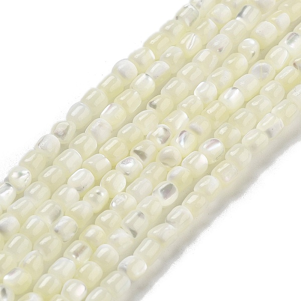 PandaHall Natural Trochid Shell/Trochus Shell Beads Strands, Column, WhiteSmoke, 3.5x3~3.5mm, Hole: 0.5mm, about 106pcs/strand, 15.16''..., White
PandaHall Natural Trochid Shell/Trochus Shell Beads Strands, Column, WhiteSmoke, 3.5x3~3.5mm, Hole: 0.5mm, about 106pcs/strand, 15.16''..., White