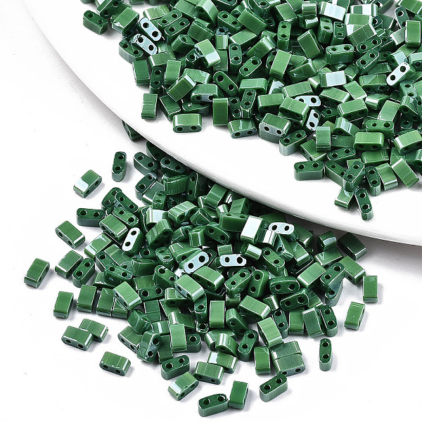 PandaHall 2-Hole Glass Seed Beads, Opaque Colours Lustered, Rectangle, Green, 4.5~5.5x2x2~2.5mm, Hole: 0.5~0.8mm, about 2000pcs/bag Glass...
PandaHall 2-Hole Glass Seed Beads, Opaque Colours Lustered, Rectangle, Green, 4.5~5.5x2x2~2.5mm, Hole: 0.5~0.8mm, about 2000pcs/bag Glass...