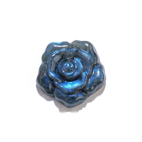 PandaHall Natural Labradorite Display Decorations, Reiki Energy Stone Figurine, Rose Pattern, 35mm Labradorite Flower
PandaHall Natural Labradorite Display Decorations, Reiki Energy Stone Figurine, Rose Pattern, 35mm Labradorite Flower
