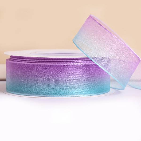 PandaHall Gradient Rainbow Color Polyester Chiffon Ribbon, for Craft Bows Gift Wrapping Wedding Decoration, Light Steel Blue, 1 inch(25mm)...
PandaHall Gradient Rainbow Color Polyester Chiffon Ribbon, for Craft Bows Gift Wrapping Wedding Decoration, Light Steel Blue, 1 inch(25mm)...