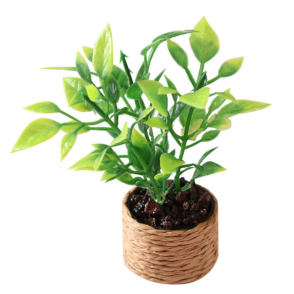 PandaHall Platic Miniature Ornaments, Micro Landscape Home Dollhouse Accessories, Pretending Prop Decorations, Plant, Lawn Green, 30x75mm...
PandaHall Platic Miniature Ornaments, Micro Landscape Home Dollhouse Accessories, Pretending Prop Decorations, Plant, Lawn Green, 30x75mm...