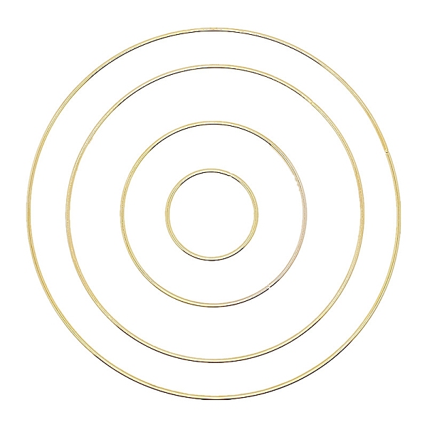 PandaHall Iron Hoops, Macrame Ring, for Crafts and Woven Net/Web with Feather Supplies, Ring, 200mm Iron Ring
PandaHall Iron Hoops, Macrame Ring, for Crafts and Woven Net/Web with Feather Supplies, Ring, 200mm Iron Ring