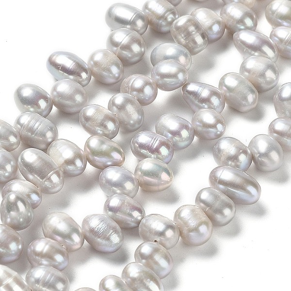 PandaHall Natural Cultured Freshwater Pearl Beads Strands, Rice, Silver, 7~10x6~7mm, Hole: 0.2mm, about 63~64pcs/strand, 13.62~13.86 inch...
PandaHall Natural Cultured Freshwater Pearl Beads Strands, Rice, Silver, 7~10x6~7mm, Hole: 0.2mm, about 63~64pcs/strand, 13.62~13.86 inch...