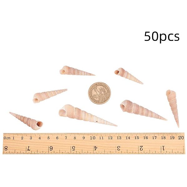 PandaHall PH 45pcs 1-2 Inch Medium Purple Turitella Sea Shells Ocean Beach Seashells Craft Charms for Candle Making, Home Decoration, Party..., Brown
PandaHall PH 45pcs 1-2 Inch Medium Purple Turitella Sea Shells Ocean Beach Seashells Craft Charms for Candle Making, Home Decoration, Party..., Brown