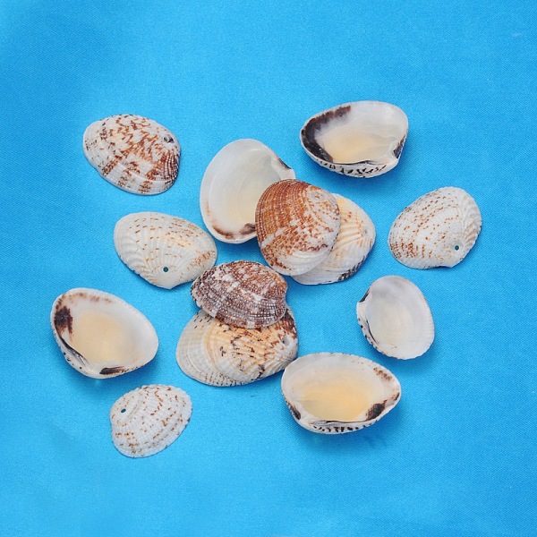 PandaHall Natural Shell Beads, about 21~29mm long, 30~35mm wide, 6~9mm thick, hole: 1.5mm, about 105pcs/500g Spiral Shell Others Brown
PandaHall Natural Shell Beads, about 21~29mm long, 30~35mm wide, 6~9mm thick, hole: 1.5mm, about 105pcs/500g Spiral Shell Others Brown