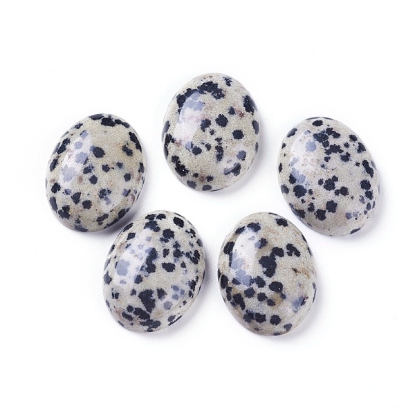 PandaHall Natural Dalmatian Jasper Cabochons, Oval, 20~20.5x14.5~15.5x5~6mm Dalmatian Jasper Oval
PandaHall Natural Dalmatian Jasper Cabochons, Oval, 20~20.5x14.5~15.5x5~6mm Dalmatian Jasper Oval