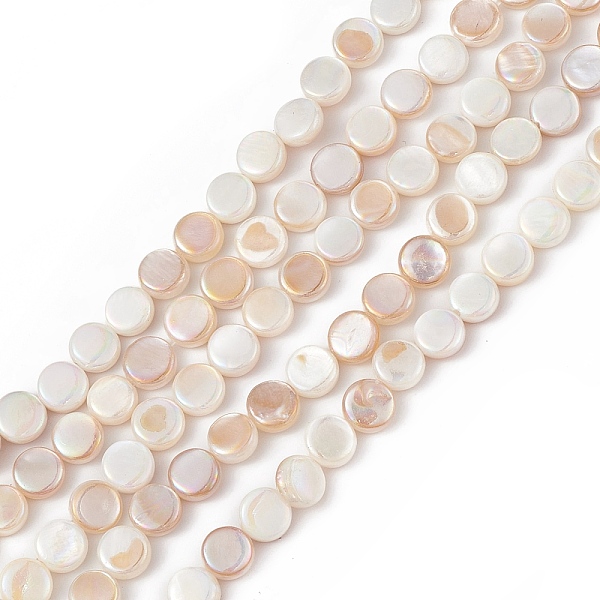 PandaHall AB Color Plated Natural Freshwater Shell Beads Strands, Flat Round, 6x3mm, Hole: 0.8mm, about 63~64pcs/strand, 15.12~15.35...
PandaHall AB Color Plated Natural Freshwater Shell Beads Strands, Flat Round, 6x3mm, Hole: 0.8mm, about 63~64pcs/strand, 15.12~15.35...