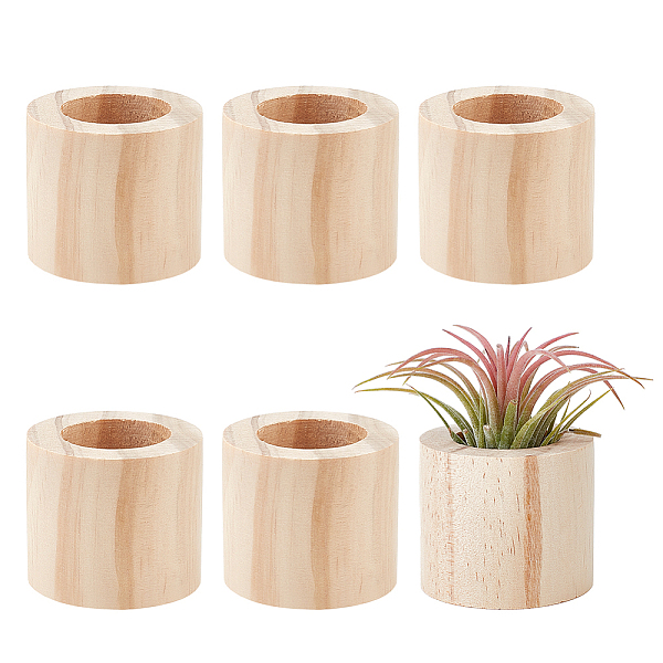 PandaHall AHANDMAKER 6 Pcs Air Plants Holders, Wood Airplant Holder, Rustic Style Air Plant Container Tillandsia Holder, Air Plant Pots for...
PandaHall AHANDMAKER 6 Pcs Air Plants Holders, Wood Airplant Holder, Rustic Style Air Plant Container Tillandsia Holder, Air Plant Pots for...