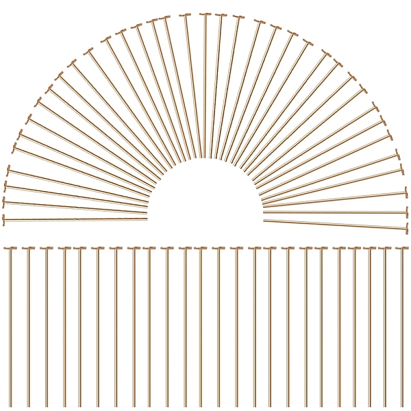 PandaHall SUNNYCLUE 300Pcs 304 Stainless Steel Flat Head Pins, for Jewelry Making, Golden, 22 Gauge, 35x0.6mm, Head: 1.4mm 304 Stainless...
PandaHall SUNNYCLUE 300Pcs 304 Stainless Steel Flat Head Pins, for Jewelry Making, Golden, 22 Gauge, 35x0.6mm, Head: 1.4mm 304 Stainless...