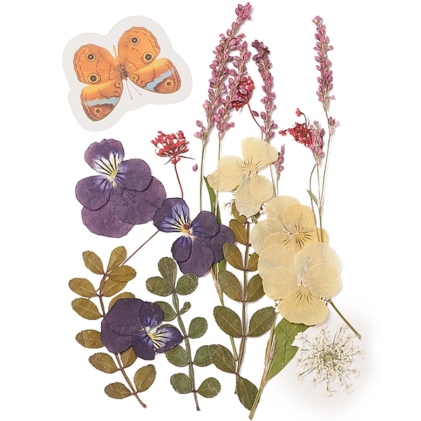 PandaHall Pressed Dried Flowers, for Cellphone, Photo Frame, Scrapbooking DIY and Resin Art Floral Decors, 137x100x0.3mm Dried Flower Flower..., Purple
PandaHall Pressed Dried Flowers, for Cellphone, Photo Frame, Scrapbooking DIY and Resin Art Floral Decors, 137x100x0.3mm Dried Flower Flower..., Purple