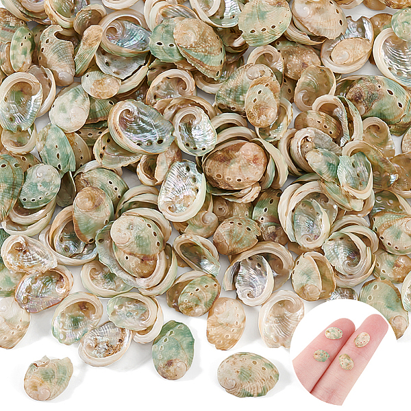 PandaHall AHANDMAKER 200 PCS Natural Green Round Abalone Shell Tiny Shells for Beach Theme Party, Candle Making, Wedding Decor, DIY Crafts...
PandaHall AHANDMAKER 200 PCS Natural Green Round Abalone Shell Tiny Shells for Beach Theme Party, Candle Making, Wedding Decor, DIY Crafts...