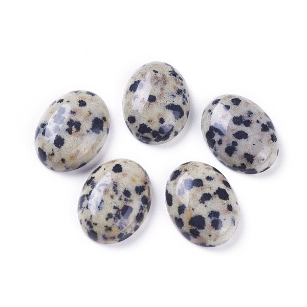 PandaHall Natural Dalmatian Jasper Cabochons, Oval, 16~16.5x12~12.5x4.5~5.5mm Dalmatian Jasper Oval
PandaHall Natural Dalmatian Jasper Cabochons, Oval, 16~16.5x12~12.5x4.5~5.5mm Dalmatian Jasper Oval
