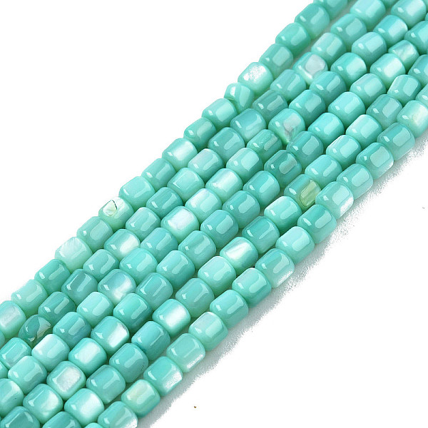 PandaHall Natural Freshwater Shell Beads Strands, Dyed, Column, Turquoise, 3.5x3.5mm, Hole: 0.8mm, about 110~113pcs/strand, 14.69 inch~15.08..., Green
PandaHall Natural Freshwater Shell Beads Strands, Dyed, Column, Turquoise, 3.5x3.5mm, Hole: 0.8mm, about 110~113pcs/strand, 14.69 inch~15.08..., Green