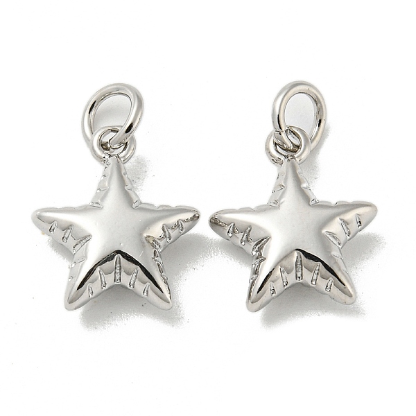 PandaHall Rack Plating Brass Pendants, with Jump Ring, Cadmium Free & Lead Free, Long-Lasting Plated, Star Charms, Platinum, 13x11x4.5mm...
PandaHall Rack Plating Brass Pendants, with Jump Ring, Cadmium Free & Lead Free, Long-Lasting Plated, Star Charms, Platinum, 13x11x4.5mm...