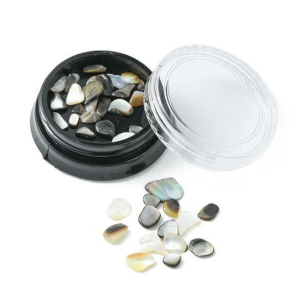 PandaHall Natural Shell Fragment, Nail Art Decoration Accessories, Chips, Mixed Color, 1~5x1~5mm, about 12g/box Shell Chip Multicolor
PandaHall Natural Shell Fragment, Nail Art Decoration Accessories, Chips, Mixed Color, 1~5x1~5mm, about 12g/box Shell Chip Multicolor