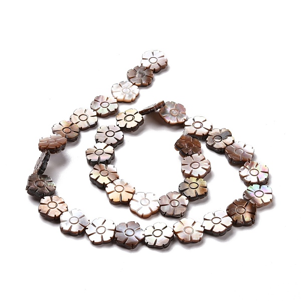 PandaHall Natural Purple Shell Beads Strands, Flower, 11.5~12x12x2~3mm, Hole: 0.6mm, about 34~35pcs/strand, 15.55~16.54 inch(39.5~42cm)...
PandaHall Natural Purple Shell Beads Strands, Flower, 11.5~12x12x2~3mm, Hole: 0.6mm, about 34~35pcs/strand, 15.55~16.54 inch(39.5~42cm)...
