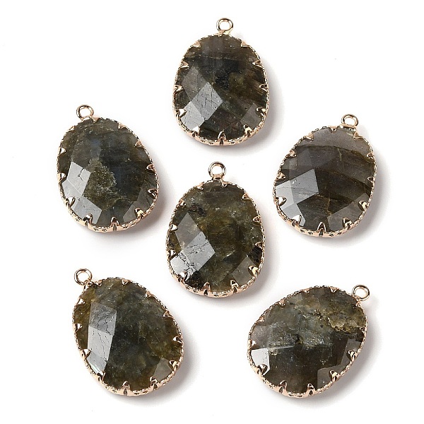 PandaHall Natural Labradorite Faceted Pendants, Golden Tone Brass Egg Charms, 26.5x17.5x5.5mm, Hole: 1.6mm Labradorite Egg
PandaHall Natural Labradorite Faceted Pendants, Golden Tone Brass Egg Charms, 26.5x17.5x5.5mm, Hole: 1.6mm Labradorite Egg