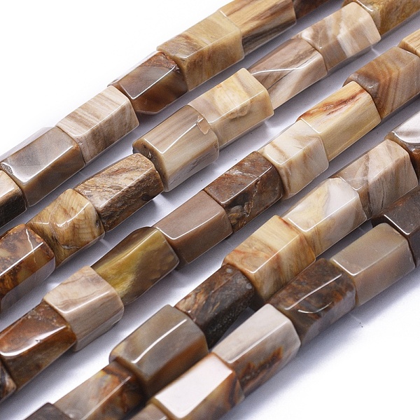 PandaHall Natural Petrified Wood Beads Strands, Hexagonal Prism, 11.5~15x9~12mm, Hole: 0.8mm, about 27~28pcs/strand, 15.1 inch~15.5 inch...
PandaHall Natural Petrified Wood Beads Strands, Hexagonal Prism, 11.5~15x9~12mm, Hole: 0.8mm, about 27~28pcs/strand, 15.1 inch~15.5 inch...