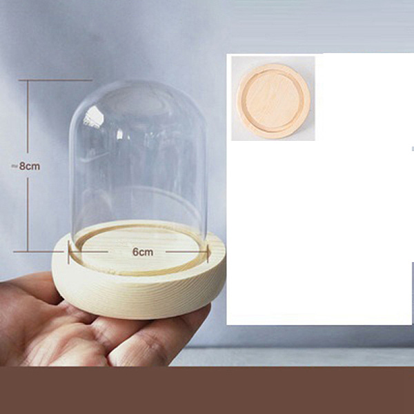 PandaHall Arch Glass Dome Cover, Decorative Display Case, Cloche Bell Jar Terrarium with Wood Base, Blanched Almond, 60x80mm Glass Arch
PandaHall Arch Glass Dome Cover, Decorative Display Case, Cloche Bell Jar Terrarium with Wood Base, Blanched Almond, 60x80mm Glass Arch