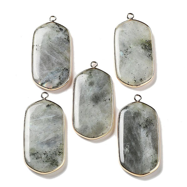 PandaHall Natural Labradorite Pendants, Light Gold Plated Brass Rectangle Charms, 47~48x22~22.5x4~4.5mm, Hole: 2mm Labradorite Rectangle
PandaHall Natural Labradorite Pendants, Light Gold Plated Brass Rectangle Charms, 47~48x22~22.5x4~4.5mm, Hole: 2mm Labradorite Rectangle