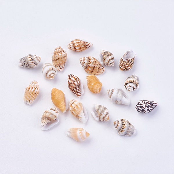 PandaHall Shell Beads, 11~14x6~8mm, Hole: 1mm, about 1800pcs/500g Other Sea Shell Shell Shape
PandaHall Shell Beads, 11~14x6~8mm, Hole: 1mm, about 1800pcs/500g Other Sea Shell Shell Shape