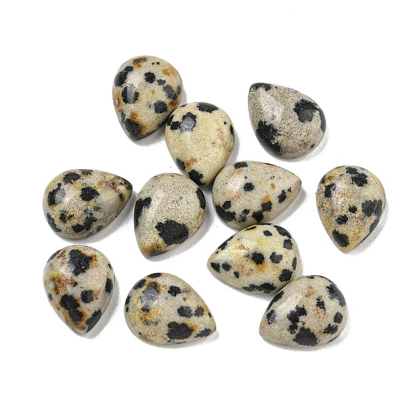 PandaHall Natural Dalmatian Jasper Cabochons, Teardrop, 10.5x8x4mm Dalmatian Jasper Teardrop
PandaHall Natural Dalmatian Jasper Cabochons, Teardrop, 10.5x8x4mm Dalmatian Jasper Teardrop