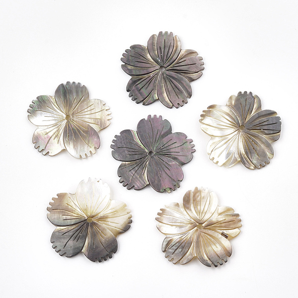 PandaHall Black Lip Shell Beads, Flower, Black, 37~38x39x2mm, Hole: 2mm Black Lip Shell Flower Black
PandaHall Black Lip Shell Beads, Flower, Black, 37~38x39x2mm, Hole: 2mm Black Lip Shell Flower Black