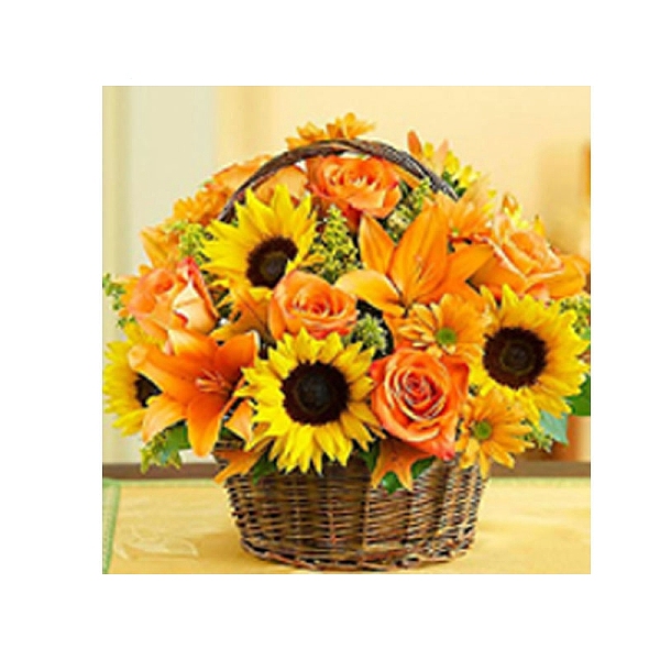 PandaHall A Basket of Sunflower DIY Diamond Painting Kits, Including Resin Rhinestones, Diamond Sticky Pen, Tray Plate and Glue Clay, Gold...
PandaHall A Basket of Sunflower DIY Diamond Painting Kits, Including Resin Rhinestones, Diamond Sticky Pen, Tray Plate and Glue Clay, Gold...
