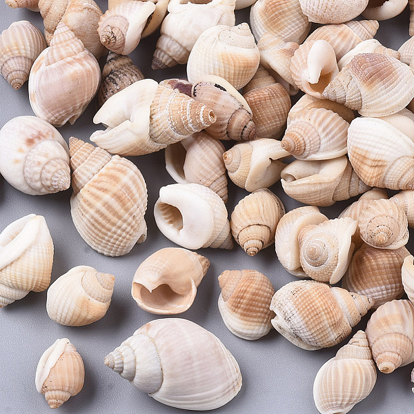 PandaHall Natural Spiral Shell Beads, Undrilled/No Hole Beads, Navajo White, 10~22x9~12x7~12mm Spiral Shell Shell Shape
PandaHall Natural Spiral Shell Beads, Undrilled/No Hole Beads, Navajo White, 10~22x9~12x7~12mm Spiral Shell Shell Shape