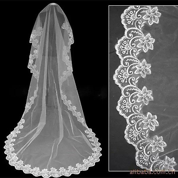 PandaHall Nylon Bridal Veils, Embroidery Lace Edge, for Women Wedding Party Decorations, White, 3000mm Nylon White
PandaHall Nylon Bridal Veils, Embroidery Lace Edge, for Women Wedding Party Decorations, White, 3000mm Nylon White