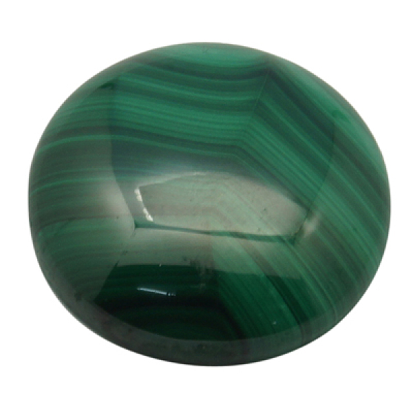 PandaHall Natural Malachite Cabochons, Grade A, Half Round/Dome, Green, Size: about 20mm in diameter, 5mm thick Malachite Half Round Green
PandaHall Natural Malachite Cabochons, Grade A, Half Round/Dome, Green, Size: about 20mm in diameter, 5mm thick Malachite Half Round Green