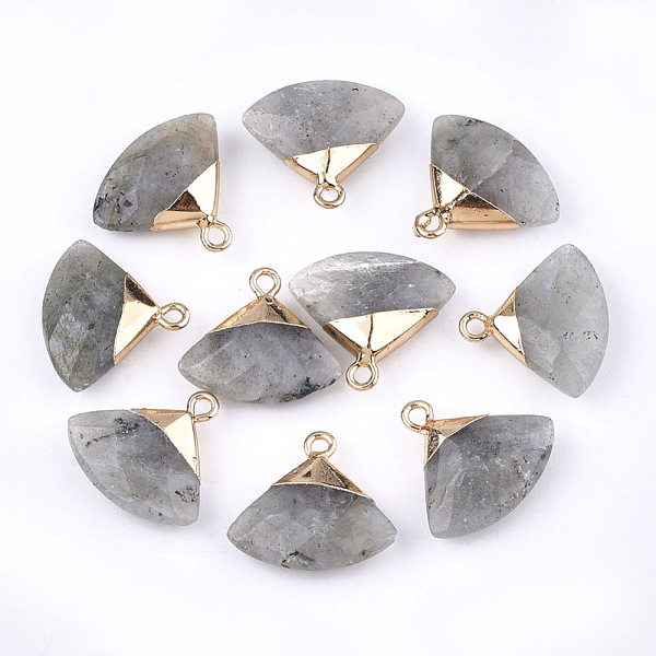 PandaHall Electroplate Natural Labradorite Pendants, with Brass Findings, Faceted, Triangle, Golden, 17~18x19~20x6~7mm, Hole: 1.8mm...
PandaHall Electroplate Natural Labradorite Pendants, with Brass Findings, Faceted, Triangle, Golden, 17~18x19~20x6~7mm, Hole: 1.8mm...
