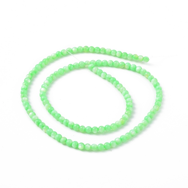 PandaHall 125Pcs Natural Freshwater Shell Beads, Dyed, Round, Light Green, 3mm, Hole: 0.5mm Freshwater Shell Round
PandaHall 125Pcs Natural Freshwater Shell Beads, Dyed, Round, Light Green, 3mm, Hole: 0.5mm Freshwater Shell Round