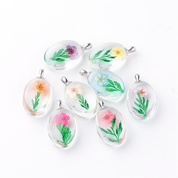 PandaHall Glass Pendants, with Dried Flower Inside, Oval, Platinum, Mixed Color, 31x18x10~11mm, Hole: 5x2mm Glass Oval Multicolor
PandaHall Glass Pendants, with Dried Flower Inside, Oval, Platinum, Mixed Color, 31x18x10~11mm, Hole: 5x2mm Glass Oval Multicolor