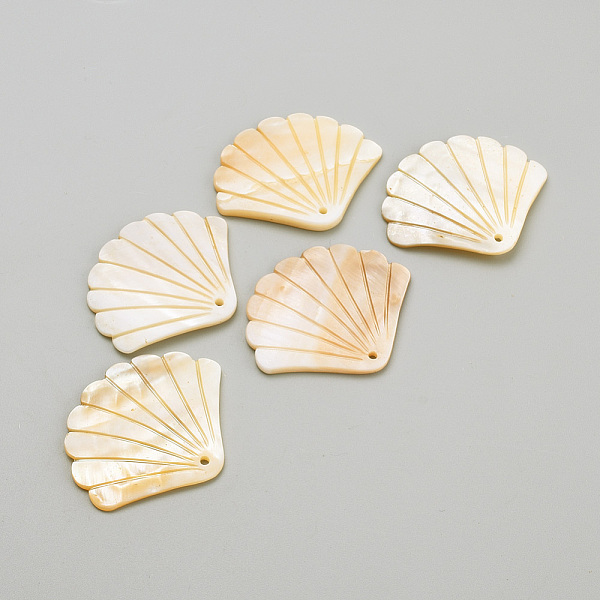 PandaHall Freshwater Shell Pendants, Shell, Wheat, 41~45x49~50x2~4mm, Hole: 2mm Freshwater Shell Shell Shape Orange
PandaHall Freshwater Shell Pendants, Shell, Wheat, 41~45x49~50x2~4mm, Hole: 2mm Freshwater Shell Shell Shape Orange