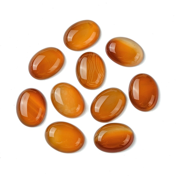 PandaHall Natural Red Agate Cabochons, Dyed & Heated, Oval, Sandy Brown, 20x15x5mm Red Agate Oval
PandaHall Natural Red Agate Cabochons, Dyed & Heated, Oval, Sandy Brown, 20x15x5mm Red Agate Oval