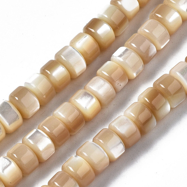 PandaHall Natural Trochid Shell/Trochus Shell Beads Strands, Column, BurlyWood, 6x4mm, Hole: 0.8mm, about 102~103pcs/strand, 15.94 inch..., Orange
PandaHall Natural Trochid Shell/Trochus Shell Beads Strands, Column, BurlyWood, 6x4mm, Hole: 0.8mm, about 102~103pcs/strand, 15.94 inch..., Orange