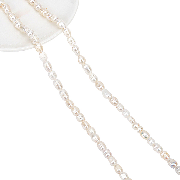 PandaHall 2 Strands About 106 Pcs Natural Cultured Freshwater Pearl Beads, 5mm Grade B Rice Shape White Freshwater Pearl Loose Pearl Charms...
PandaHall 2 Strands About 106 Pcs Natural Cultured Freshwater Pearl Beads, 5mm Grade B Rice Shape White Freshwater Pearl Loose Pearl Charms...