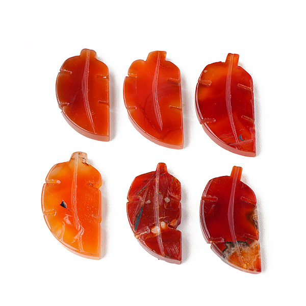 PandaHall Natural Carnelian Home Display Decorations, Leaf, 40~60mm Carnelian Leaf
PandaHall Natural Carnelian Home Display Decorations, Leaf, 40~60mm Carnelian Leaf