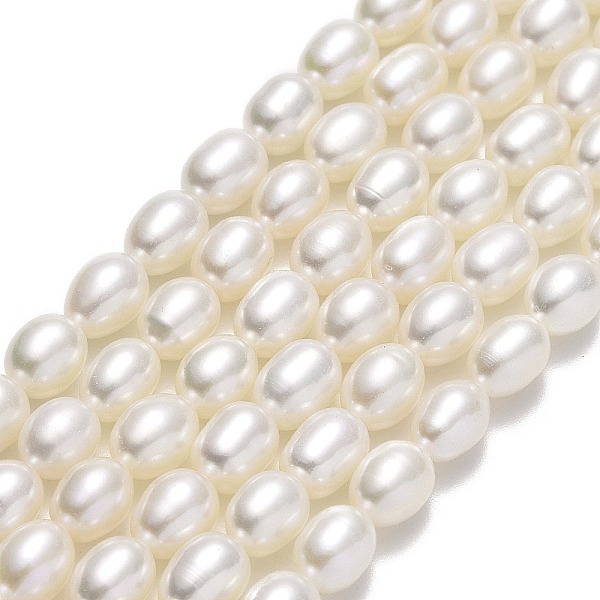 PandaHall Natural Cultured Freshwater Pearl Beads Strands, Rice, Linen, 6.5~7x5~5.5mm, Hole: 0.6mm, about 54~56pcs/strand, 14.76''(37.5cm)..., Brown
PandaHall Natural Cultured Freshwater Pearl Beads Strands, Rice, Linen, 6.5~7x5~5.5mm, Hole: 0.6mm, about 54~56pcs/strand, 14.76''(37.5cm)..., Brown